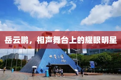 岳云鹏，相声舞台上的耀眼明星