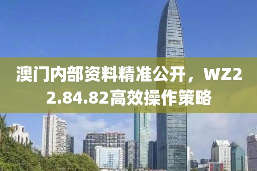 澳门内部资料精准公开，WZ22.84.82高效操作策略
