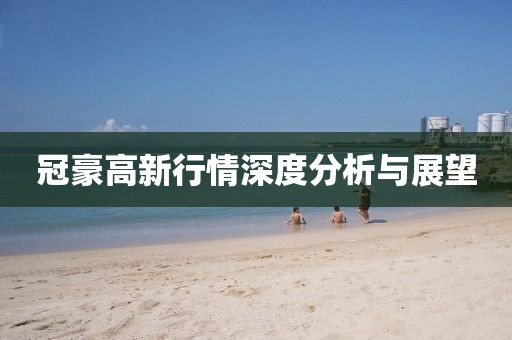 冠豪高新行情深度分析与展望
