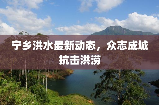 宁乡洪水最新动态，众志成城抗击洪涝