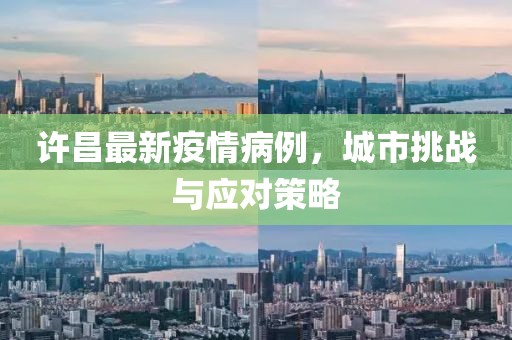 许昌最新疫情病例，城市挑战与应对策略
