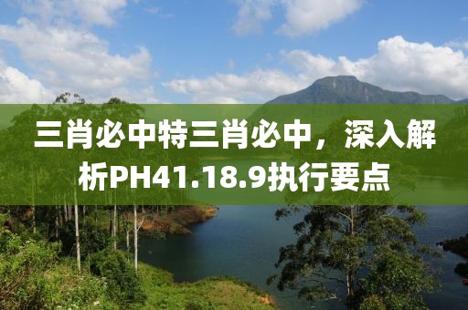 三肖必中特三肖必中，深入解析PH41.18.9执行要点