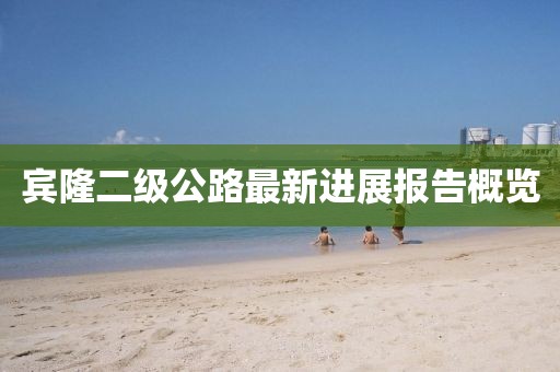 宾隆二级公路最新进展报告概览