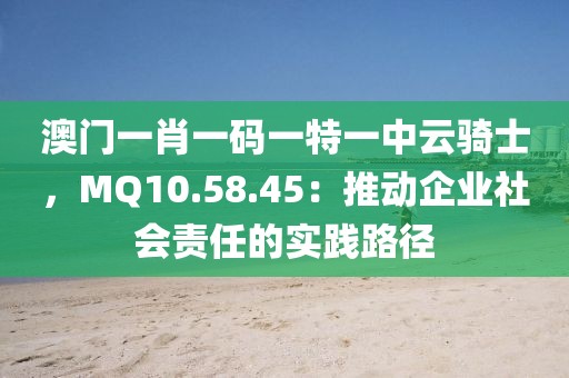 澳门一肖一码一特一中云骑士，MQ10.58.45：推动企业社会责任的实践路径