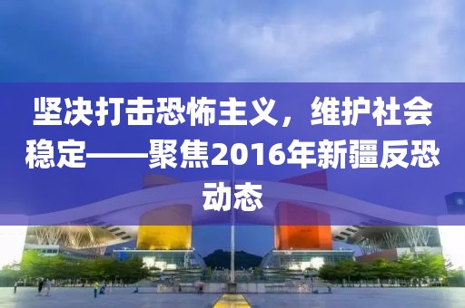 坚决打击恐怖主义，维护社会稳定——聚焦2016年新疆反恐动态