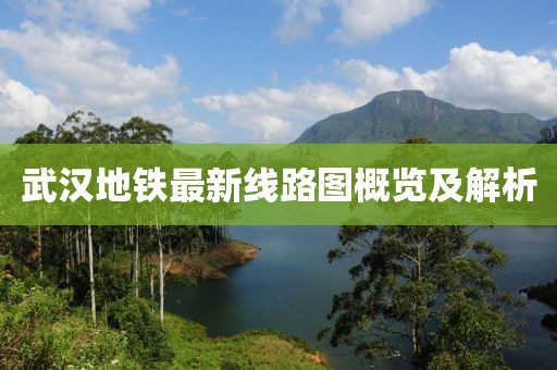 武汉地铁最新线路图概览及解析