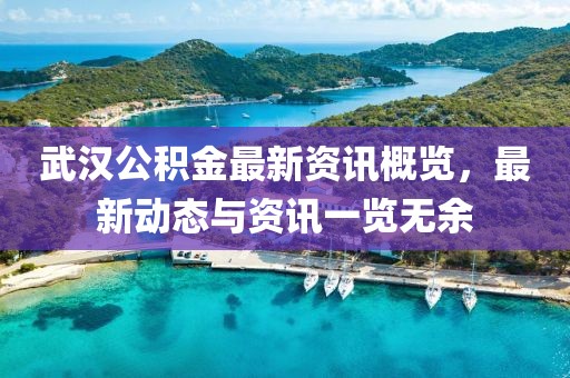 武汉公积金最新资讯概览，最新动态与资讯一览无余