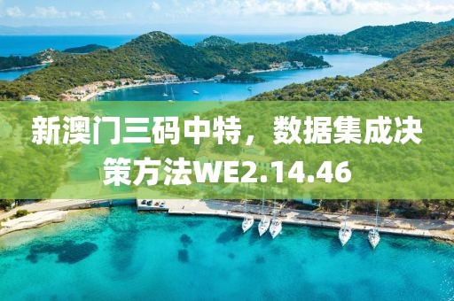 新澳门三码中特，数据集成决策方法WE2.14.46