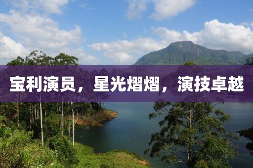 宝利演员，星光熠熠，演技卓越