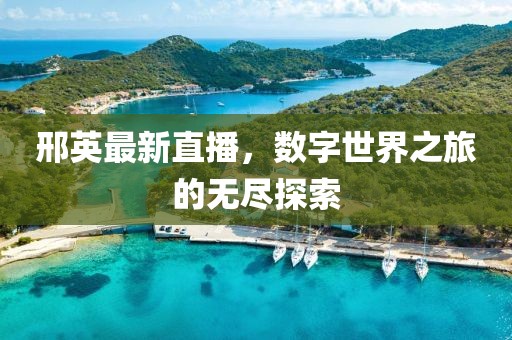 邢英最新直播，数字世界之旅的无尽探索