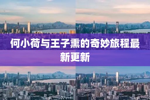 何小荷与王子熏的奇妙旅程最新更新