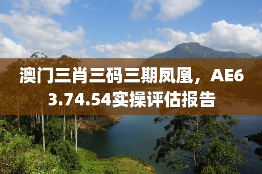 澳门三肖三码三期凤凰，AE63.74.54实操评估报告