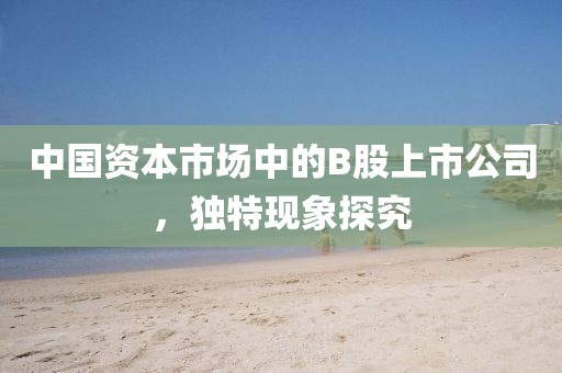 中国资本市场中的B股上市公司，独特现象探究