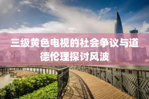 三级黄色电视的社会争议与道德伦理探讨风波