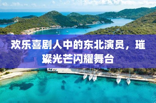 欢乐喜剧人中的东北演员，璀璨光芒闪耀舞台