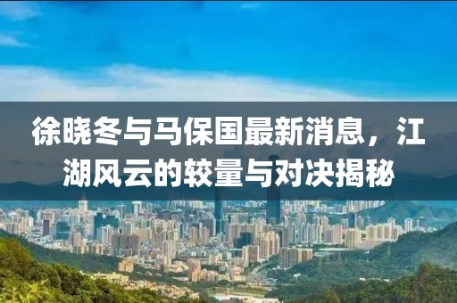 徐晓冬与马保国最新消息，江湖风云的较量与对决揭秘
