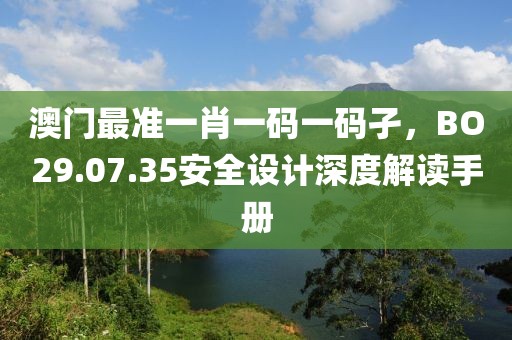 澳门最准一肖一码一码孑，BO29.07.35安全设计深度解读手册