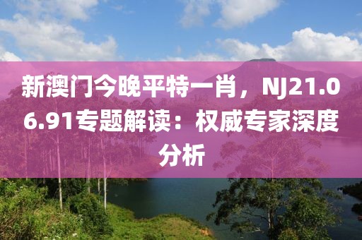 新澳门今晚平特一肖，NJ21.06.91专题解读：权威专家深度分析