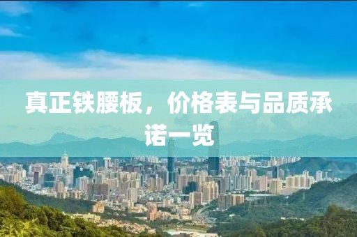 与孤独合葬 第3页