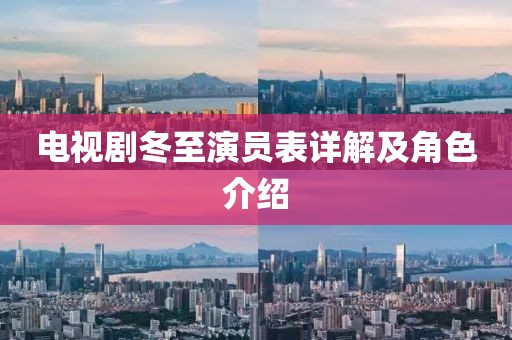 电视剧冬至演员表详解及角色介绍