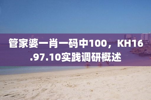 管家婆一肖一码中100，KH16.97.10实践调研概述
