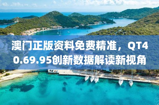 澳门正版资料免费精准，QT40.69.95创新数据解读新视角