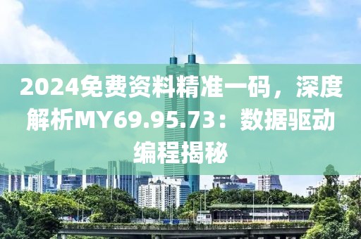 2024免费资料精准一码，深度解析MY69.95.73：数据驱动编程揭秘