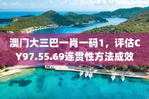 澳门大三巴一肖一码1，评估CY97.55.69连贯性方法成效
