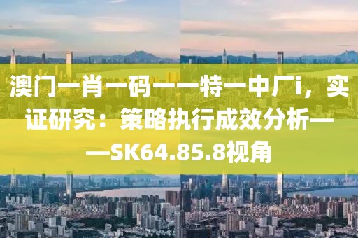澳门一肖一码一一特一中厂i，实证研究：策略执行成效分析——SK64.85.8视角