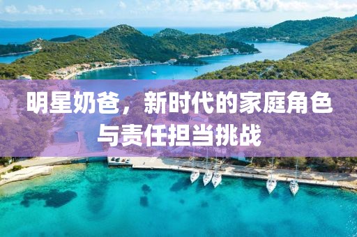 明星奶爸，新时代的家庭角色与责任担当挑战