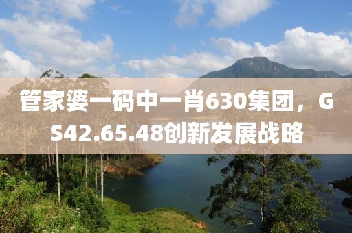 管家婆一码中一肖630集团，GS42.65.48创新发展战略