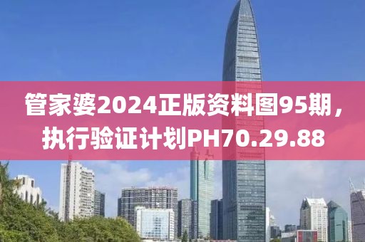 管家婆2024正版资料图95期，执行验证计划PH70.29.88
