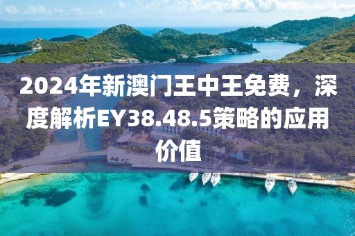 2024年新澳门王中王免费，深度解析EY38.48.5策略的应用价值