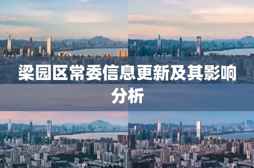 梁园区常委信息更新及其影响分析
