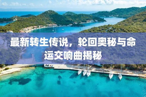 最新转生传说，轮回奥秘与命运交响曲揭秘