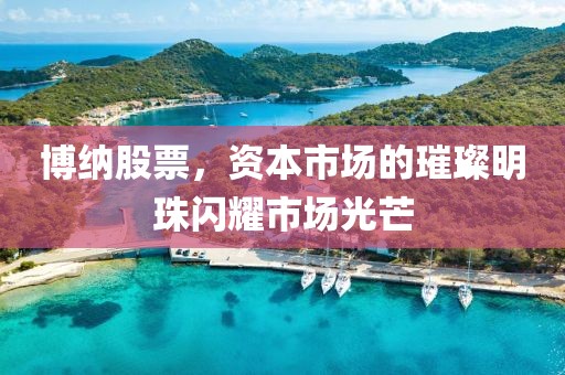 博纳股票，资本市场的璀璨明珠闪耀市场光芒