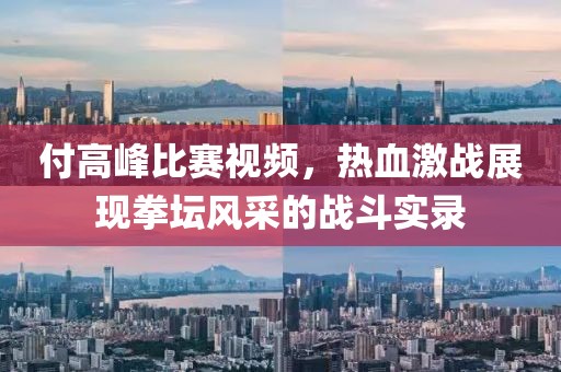 付高峰比赛视频，热血激战展现拳坛风采的战斗实录
