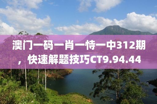澳门一码一肖一恃一中312期，快速解题技巧CT9.94.44