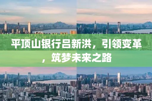 平顶山银行吕新洪，引领变革，筑梦未来之路