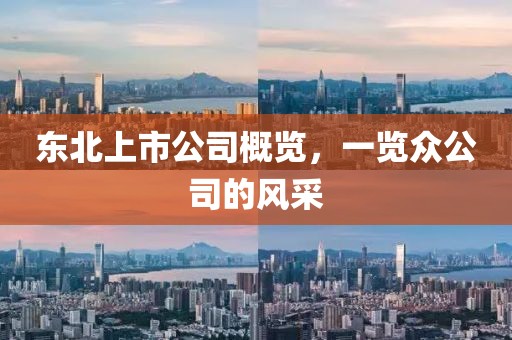东北上市公司概览，一览众公司的风采