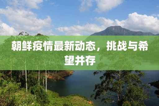 朝鲜疫情最新动态，挑战与希望并存