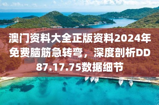 澳门资料大全正版资料2024年免费脑筋急转弯，深度剖析DD87.17.75数据细节