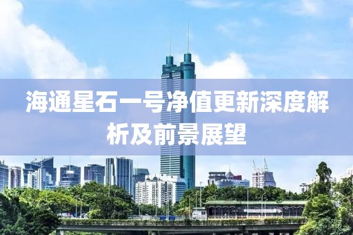 海通星石一号净值更新深度解析及前景展望