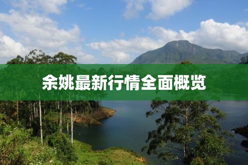 余姚最新行情全面概览