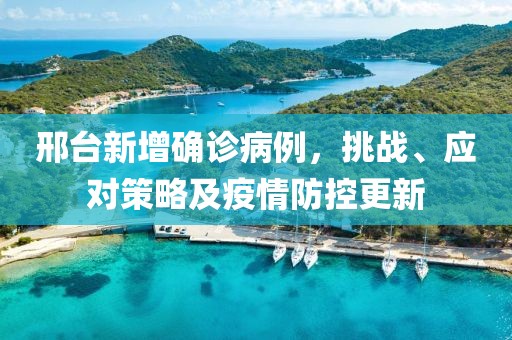 邢台新增确诊病例，挑战、应对策略及疫情防控更新