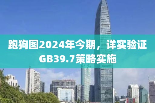 跑狗图2024年今期，详实验证GB39.7策略实施