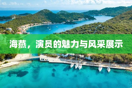 海燕，演员的魅力与风采展示