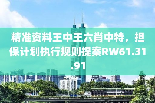 精准资料王中王六肖中特，担保计划执行规则提案RW61.31.91