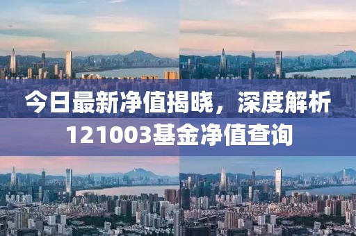 今日最新净值揭晓，深度解析121003基金净值查询
