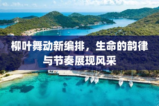 柳叶舞动新编排，生命的韵律与节奏展现风采